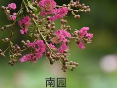 -国家植物园南园