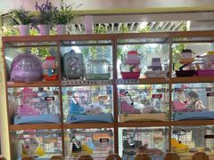 -宠物兔专门店(天丰利市场店)