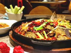 -老板恋上鱼(恒隆广场店)