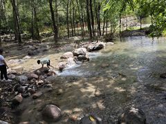 -玉渡山自然风景区