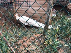 -云南艺术学院(呈贡校区)