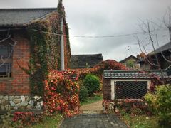 -鴜鹭湖生态旅游度假区