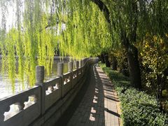 -迎泽公园