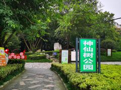 -神仙树公园
