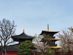 -广富林郊野公园