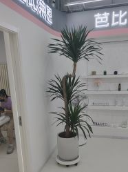 -babiline芭比莱恩半永久纹眉纹唇发际线