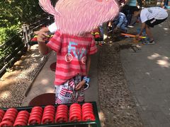 -大兴滨河森林公园