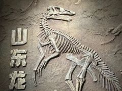 -山东博物馆