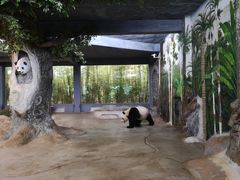 -海南热带野生动植物园