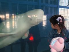 -泉城欧乐堡海洋极地世界