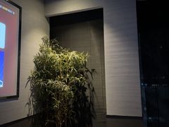 -上足·影院足道·SPA(红岭店)
