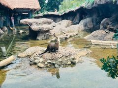 -北京野生动物园