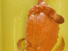 -四海蒸鲜蒸汽海鲜自助(北戴河店)