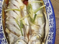 -老马家·舌尖上的西塘美食