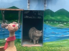 -青藏高原野生动物园