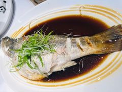 清蒸鲈鱼-眉州东坡(团结湖店)
