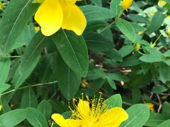 -苏州河梦清园环保主题公园