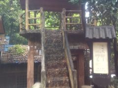 -天门沟九州驿站树上汤泉