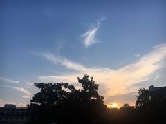 -杭州市陈经纶体育学校