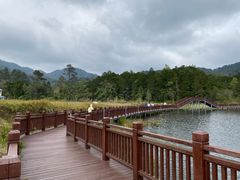 -海南热带雨林国家公园吊罗山景区