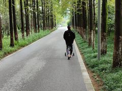 -昆山城市生态森林公园