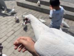 -茯茶镇