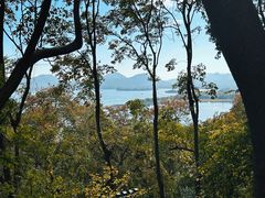 -纯真年代书吧(宝石山店)