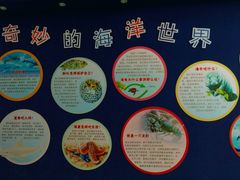-上海海洋大学鱼文化博物馆(军工路校区)