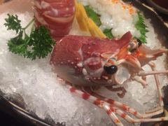 -阿吾罗日本料理(K11艺术中心店)