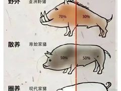 -琵琶语评弹茶馆(苏州平江路店)