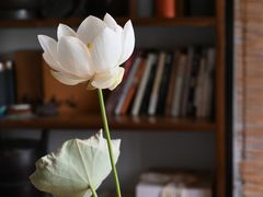 -煮雨小筑(斜塘老街店)