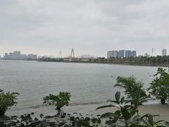 -万绿园