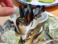 -上鸿汤泉•易营+
