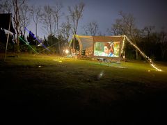 -春花秋色城市公园