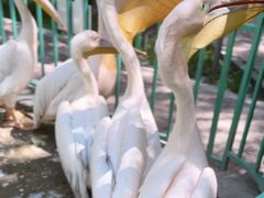 -水上乐园·欢乐世界