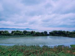 -上海市保健医疗中心(华东疗养院)