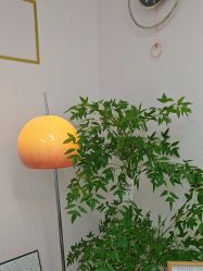 -变美丽半永久纹眉连锁·机器野生眉·洗眉