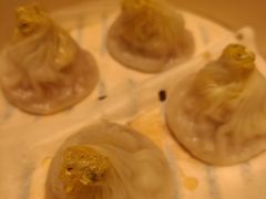 -新吉士·上海菜(浦东LCM置汇旭辉店)