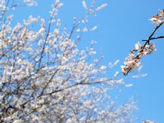 -广州市流溪河国家森林公园