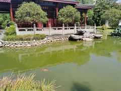 -武汉园博园(武汉自然博物馆)