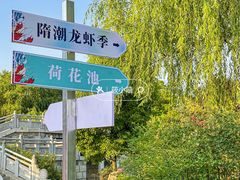 -洛阳市隋唐城遗址植物园