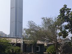 -万绿园