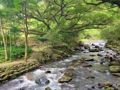 -广州市石门国家森林公园