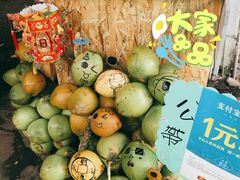 -鹅銮鼻公园