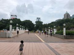 -九龙公园