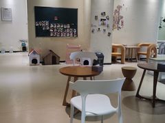 -藏猫猫咖啡主题馆(中央大道店)