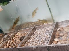 -金滏山烤肉·海鲜·火锅自助餐厅(襄阳万达店)