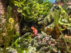 -鹿儿岛水族馆
