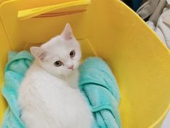 -中农国际动物医院24小时·猫科·骨科·急重症中心