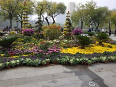 -文瀛公园
